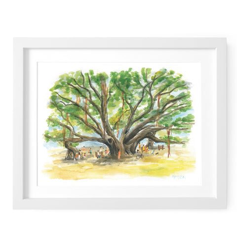 Lahaina Banyan Tree Art Print